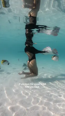 🤍  #ocean #stingray #animals #cute #viral 