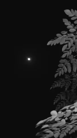 هذا اليوم #في هذا اليوم #اكسبلور #الشعب_الصيني_ماله_حل😂😂 