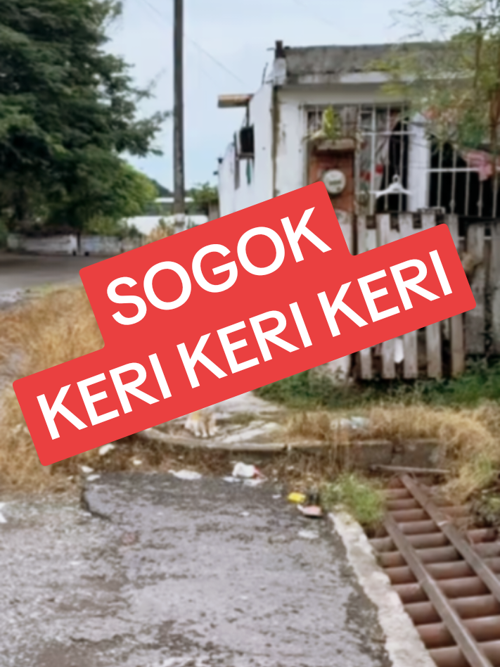 Ikut trend sogok keri keri keri #viral #creatorsearchinsights #kucinglucutiktok #kucingjoget #cat 