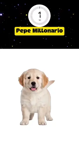 #pepemillonario #tiktok #fyp #foryou #viral 