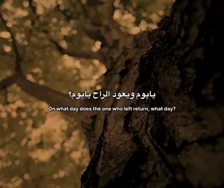 اذا غاب الابو ماتغمض العين😔! #fyp #foryoupage #fypシ #viral #foryou 