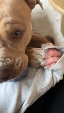 my everything 🫶🏽