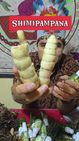 shimipampana de mi tierra pucallpa peru