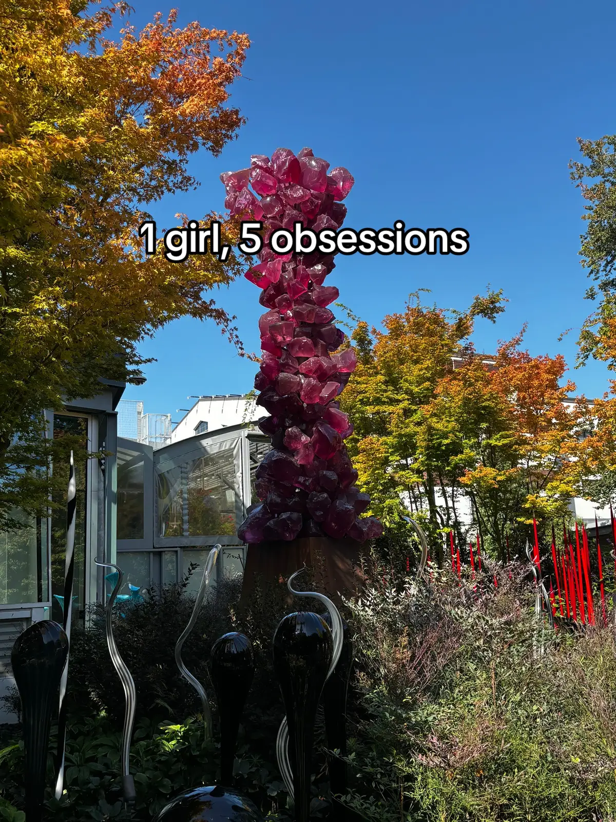 #obsessions #1girl5obsessions #hobbies #aboutme #likes 