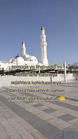 #@🐾ɪᴄᴇᴄʀᴇᴀᴍ🍨 #@AR •™🅷 ³¹³ 🇮🇩🇵🇸 