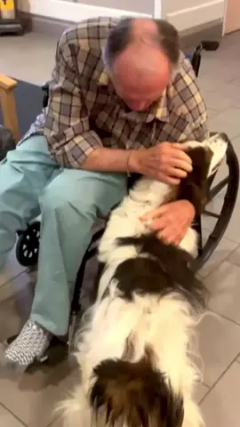 #fyp #trending #tiktok #dog 