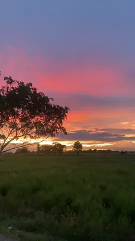 #freetostory #trending #igstory #vibes 