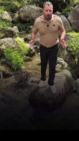 Compra tu finca en Colombia 🇨🇴 separa la tuya hoy mismo. #fincacolombiana #glampingcolombia 