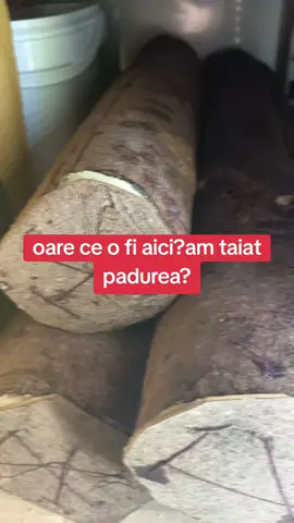 #CapCut #produsenaturale  #dinbran #produsetraditionaleromanesti 