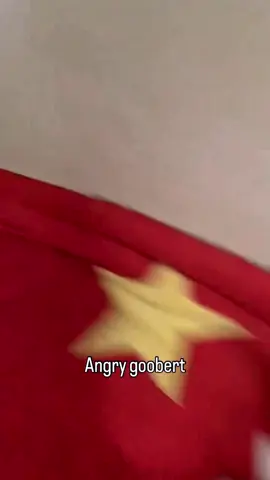 funnycats😂😂😂#funnycat #cutecat #funnyvideos #viral_video 