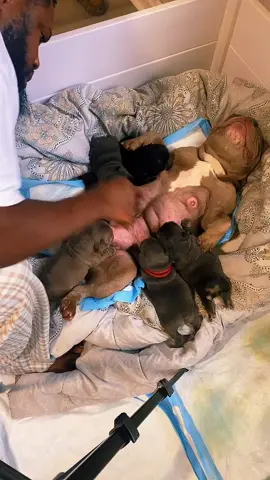 #tiktoklive #livehighlights 