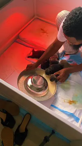 #tiktoklive #livehighlights patient is the key!