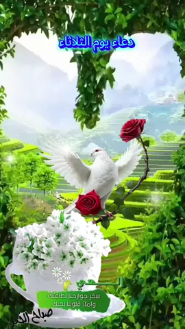 #دعاءالثلاثاء#صباحكم_معطر_بذكر_الله💚🌹🌿🌷😍🌸🙏 #🤲🤲🕋🕋🤲🤲 #صباح_الخير #صباحكم_أحلى_صباح🌹🌹 