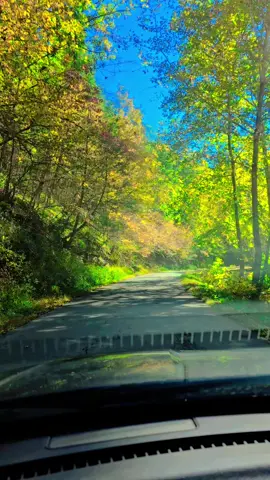 Sure is beautiful here #TrendingHalloweenSong #halloween #fall #WestVirginia #LIVEIncentiveProgram 