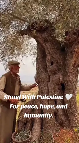 “Even in pain, they still pray for peace.” AI visual created for awareness and humanity. #StandWithPalestine #SoraVision #AIart #HopeForPeace #emotionalvideo 