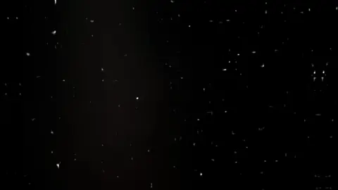 مدام المصلحهه شغاله 😆💸. #تصميم_فيديوهات🎶🎤🎬 #اخصام_سهله #ميزو_مصر🇪🇬✈️ #اسلام_كابونجا #مصلحه 