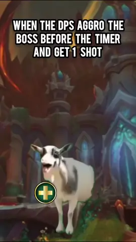 when the dps aggro the boss before the pull timer and get 1 shot #wowtok #warcraft #worldofwarcraftmemes  #wow #wowclassic 