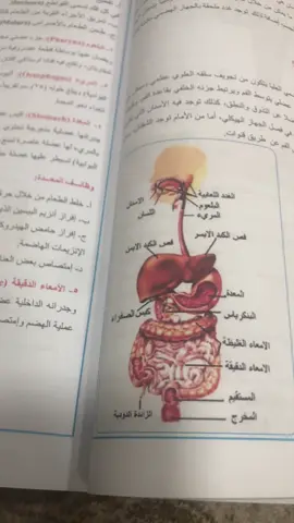 معاناتي مع الرسومات🥲#الثالث_متوسط #احياء#رسم#مدلل_البيت 
