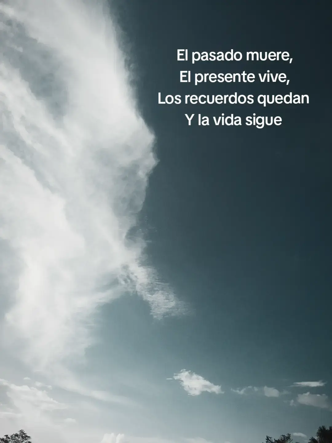 La vida sigue 🥀😖 #desepcion #desamor #indirectas #recuerdos #pasado 
