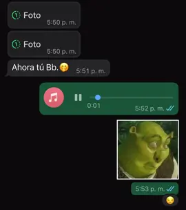 😡💔! #audiodewhatsapp #viral #viraltiktok #audios #umor 