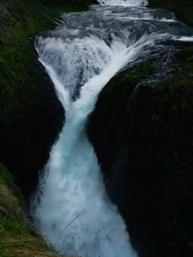 Sussurros da Floresta: O Canto das Águas Em meio à vegetação exuberante, o som suave das águas correntes ecoa como uma melodia natural, embalando a alma em tranquilidade. A paisagem revela uma floresta serena, onde cada folha dança ao ritmo da brisa e cada riacho murmura segredos de paz. Um convite ao relaxamento profundo, à conexão com a essência da natureza e ao reencontro com o silêncio interior. #tiktokviral #relax #nature #Natureza #tiktok 