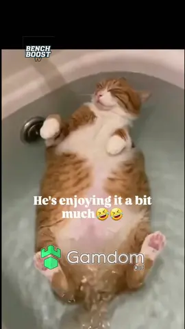 He’s enjoying it a bit much 😂😂