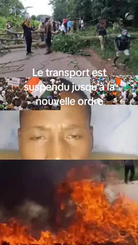 #creatorsearchinsights #cotedivoire🇨🇮225 #cotedivoire🇨🇮 #senegalaise_tik_tok #madagascarlive 