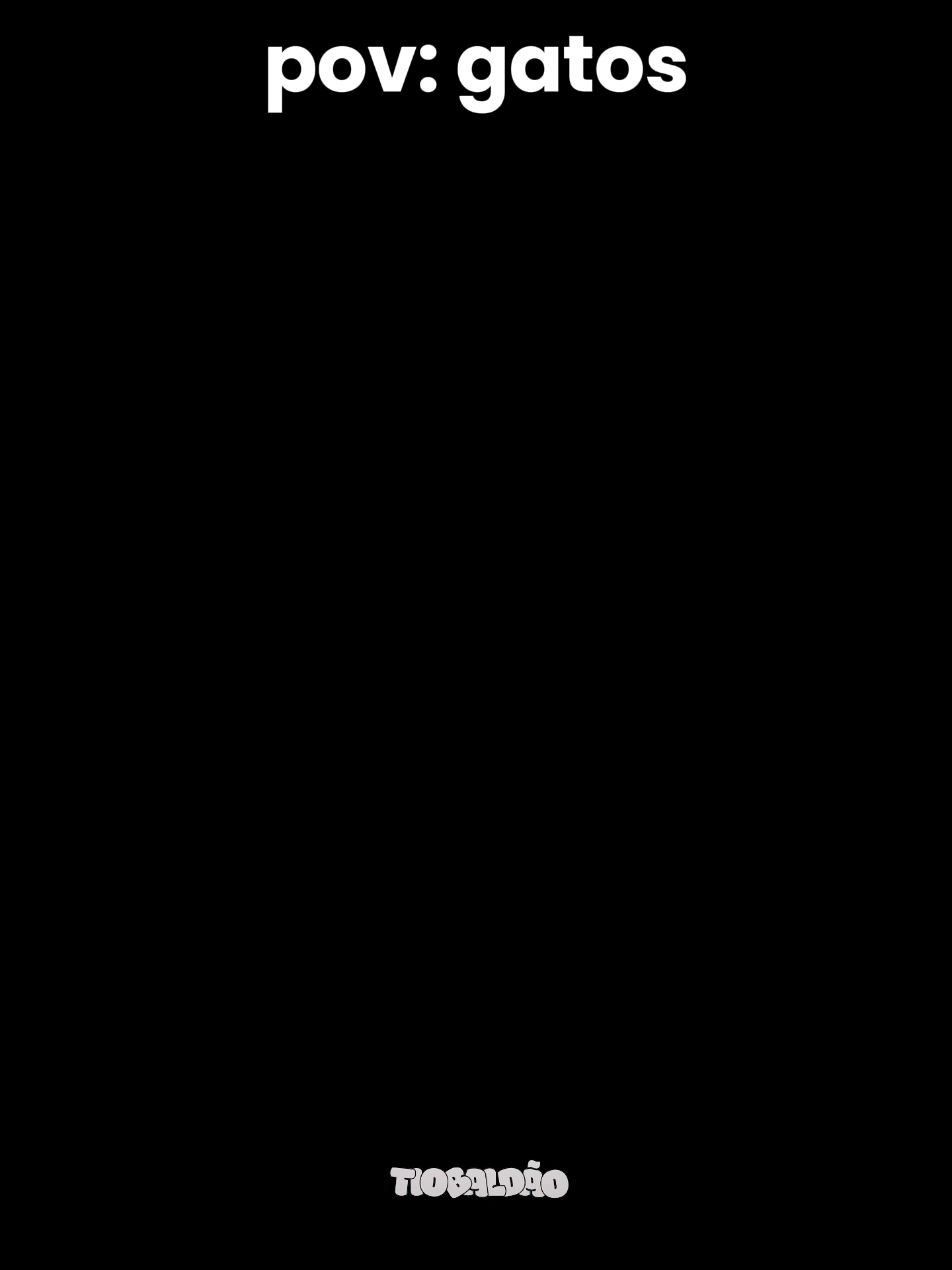 o gato virou parte do sofa kkkk l #humor #engraçado #gatos