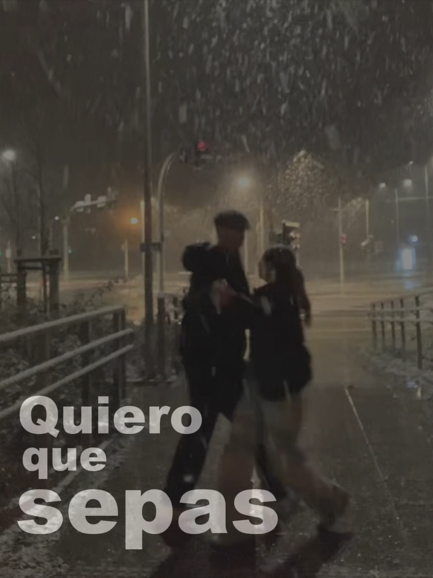 Snowman #sia #snowman #snowmansia #music #fypシ゚ 