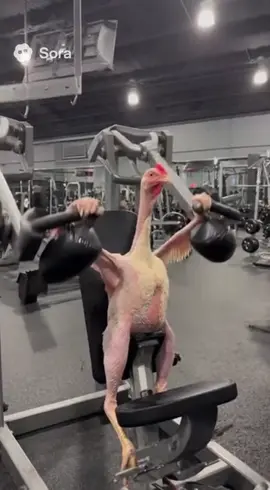 Así me veo cuando entreno en el gym 🤣. #viral #gym #nopainnogain #viralditiktok 
