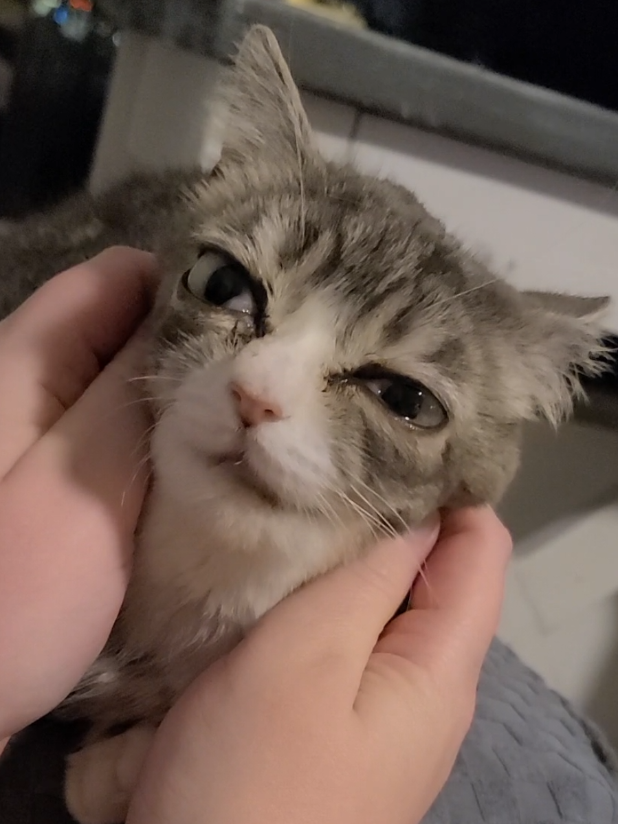 Winky loves her face massaged