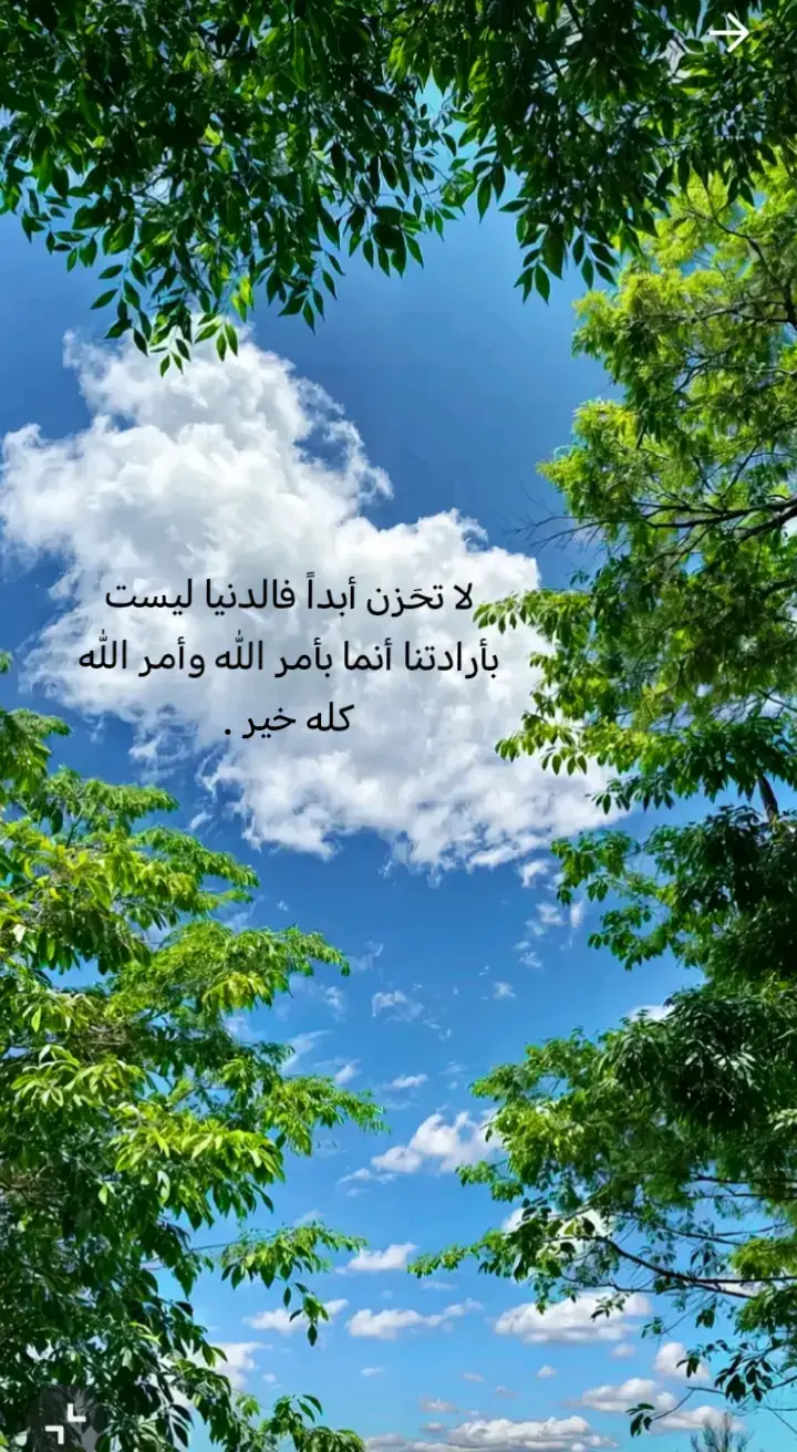 #ياعلي #تصميم_فيديوهات🎶🎤🎬 #لايكات . . . . . #الشعب_الصيني_ماله_حل😂😂.