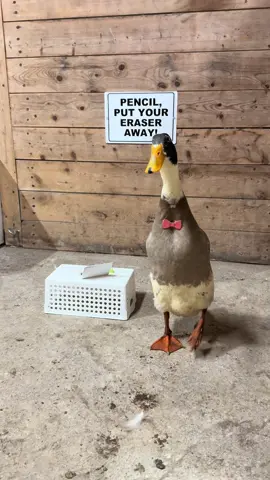 Just blame it on the Amazon outage or something idk (don’t worry though, the full Zoom recording is over onfb&yt)