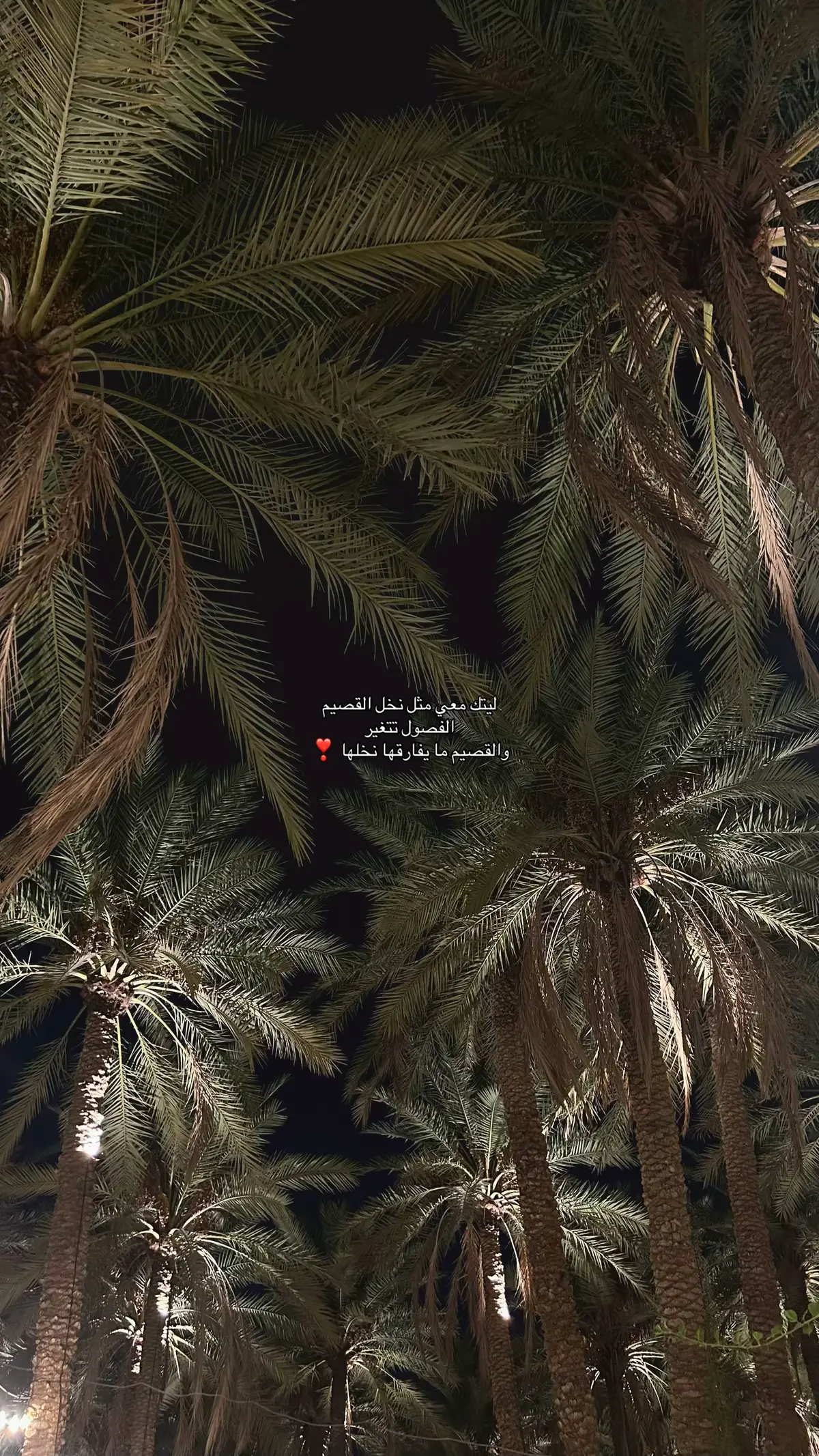 #اكسبلورexplore #عشوايات #fyp #القصيم 