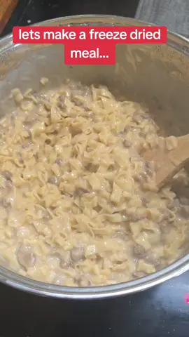 🥩💸 We’re broke, but we’ve got a ton of freeze-dried meals — so tonight it’s freeze-dried beef stroganoff on the menu! 😂 Cooking it up homemade-style and showing how you can turn your stockpile into an actual dinner that tastes good. Perfect for preppers, busy moms, or anyone stretching that grocery budget and still wanting a warm, real meal. 🍽️ Stick around for the results — this one actually slaps! #FreezeDriedMeals #BudgetCooking #PrepperLife #FoodStorage #EasyDinner 
