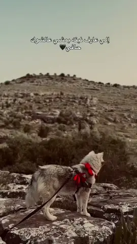 #مجرد________ذووووووق🎶🎵💞 