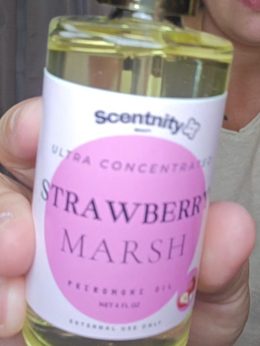 My tiktok shop weekly samples  #tiktokaffiliate #samplehaul #tiktokshop 