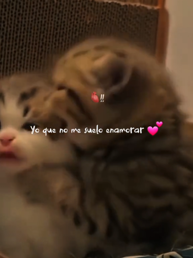 #paratiiiiiiiiiiiiiiiiiiiiiiiiiiiiiii #video_viral #tuyyo #rolasparaestados #indirectas 