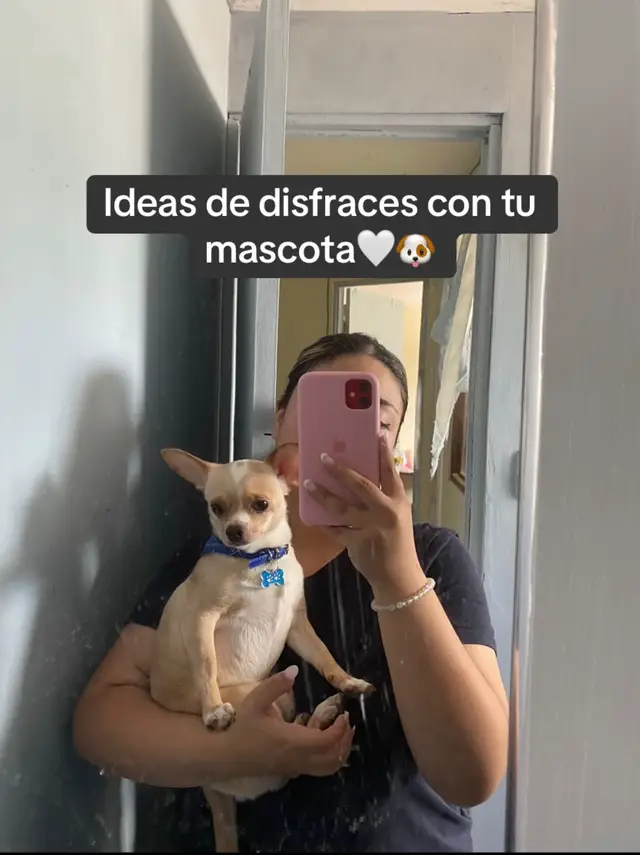 👀 #halloween #disfraz #chihuahua #fyp 