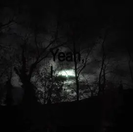 #typeonegative #fyp #myhusband @Nevaeh Hamilton 😽