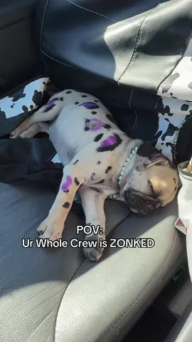 I love them car naps 😴 #sahm #momlife #3under3 #3under4 #boymom 