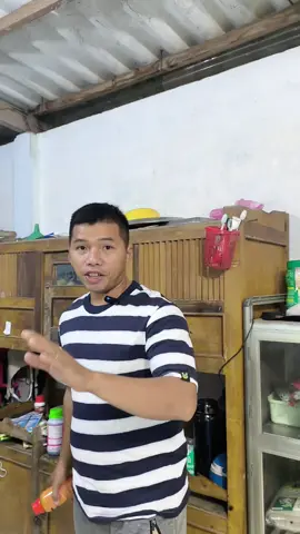 bọ xít hại cây trồng  #bọxíthôi #bọxítmũi #bọtrĩtrêncâytrồng #bọtrĩtrênraumàu #longho1212 