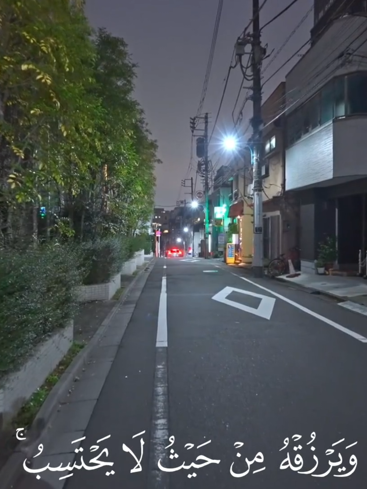 ومن يتق الله يجعل له مخرجا 🤍 #بدر_التركي #قرآن #قران_كريم #quran #quran_alkarim 