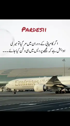 #standwithkashmir #uae🇦🇪 #pardasilife✈️ #pardasi #uae🇦🇪 
