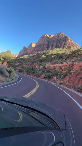 definitely do not have this at home #zion #zionnationalpark #utah
