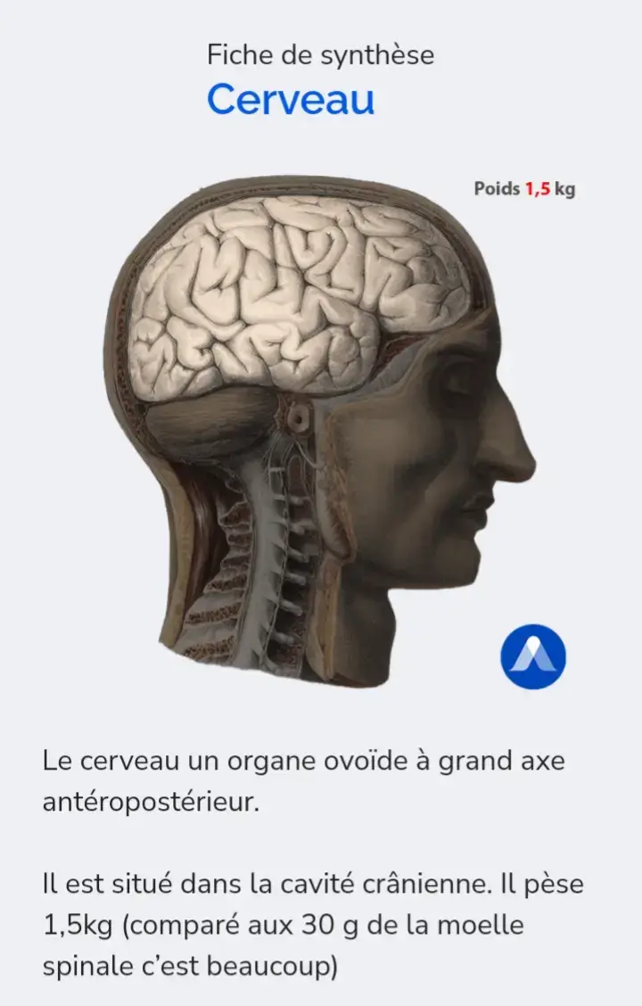 @@phenixMed @@phenixMed @@phenixMed #congo #unikin #ucc #medecine #sante 