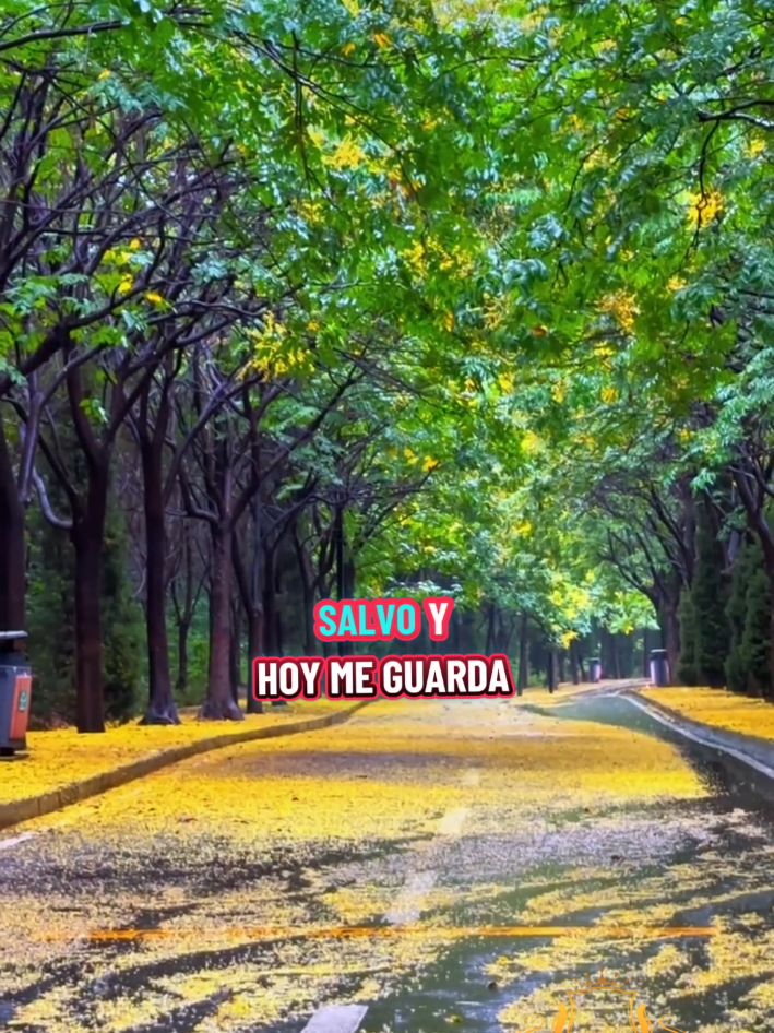 HALLÉ UN BUEN AMIGO  #fypシ゚ #LIVEStory #creatorsearchinsights #LIVEIncentiveProgram #alabanzas_cristianas 