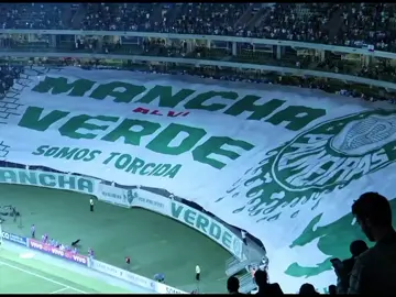 Palmeiras. . . . . . . . . . ib: @𝐒𝐂𝐅𝐂_𝐕𝐃𝐒  #fy #palmeiras #editfutebol #verdao #viral 