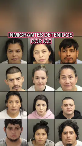 #tiktok #viral #orlando #florida #tennessee más personas detenidas por lCE
