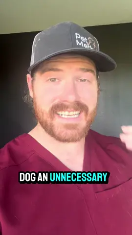 VacciCheck by Biogal is affordable, reliable, and changing the game for veterinary vaccine care. Ask your vet if they have heard about this way to titer test! #drfinn #vaccicheck #dogtiter 